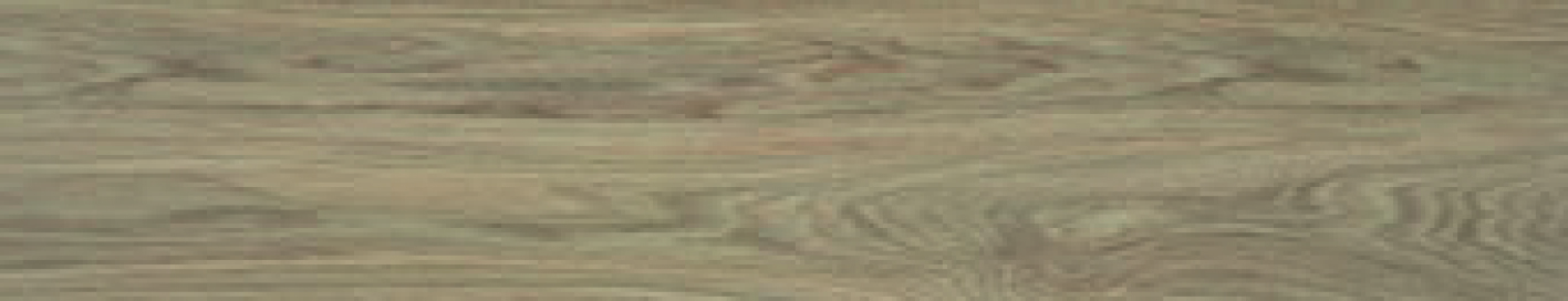 Ninsba Camel